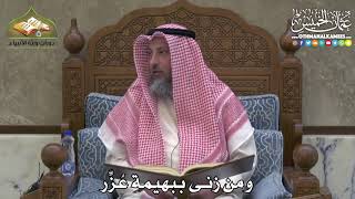 2399 - ومن زنى ببهيمة عُزِّر - عثمان الخميس