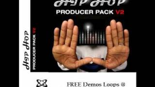 Hip Hop Producer Pack 2 - Hip Hop Samples from Platinumloops.com