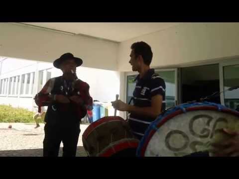 Palheta Bendita 2014 - Toni das Gaitas