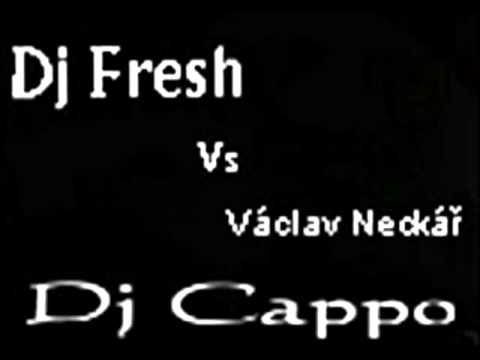 Dj Fresh vs. Václav Neckář (Dj Cappo)