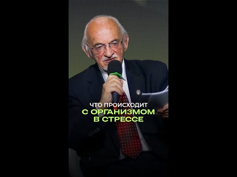 ⚡ Что происходит с организмом в стрессе