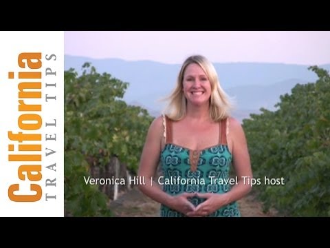 Temecula Wine Country Travel Guide | California Travel Tips