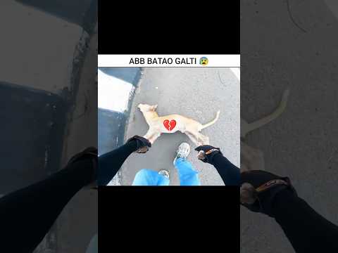 𝗣𝗿𝗮𝘆 𝗙𝗼𝗿 𝗗𝗼𝗴 🐶😰💥 𝗠𝗼𝘁𝗼𝘃𝗹𝗼𝗴𝘀 #shorts #cow #motovlog