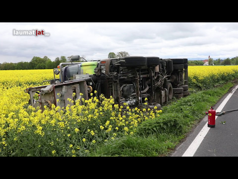 LKW stürzte in Bad Wimsbach-Neydharting in ein Rapsfeld