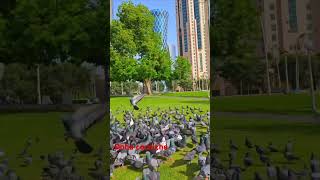 Download lagu #youtubeshorts #youtube #youtubevideo #reels #lovestatus mp3 Download lagu #youtubeshorts #youtube #youtubevideo #reels #lovestatus mp3