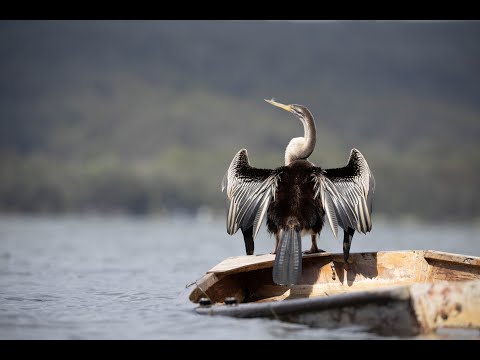 Matt Kemp Photography and Training video.