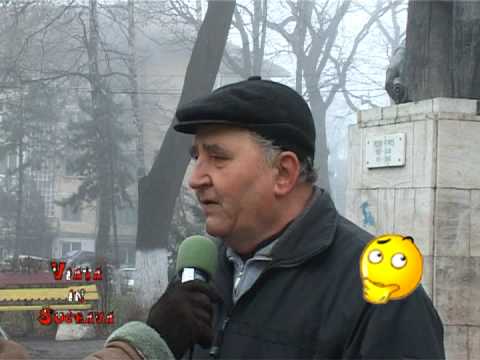 VIS 03.11.2008 - Mocanita