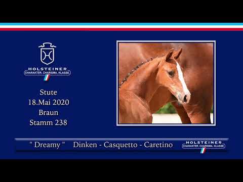 Holsteiner Elite-Fohlenauktion | Nr. 56 v. Dinken - Casquetto