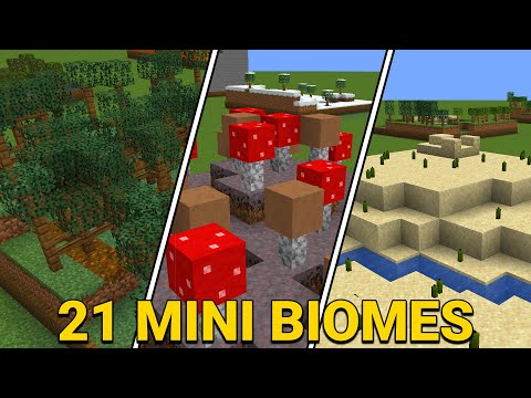 Crazy MC!! Unbelievable 21 Mini Biomes! Must Watch!