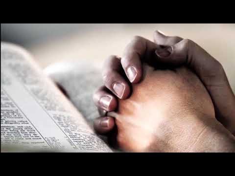 Maestro Faam- Letter to 1 Four