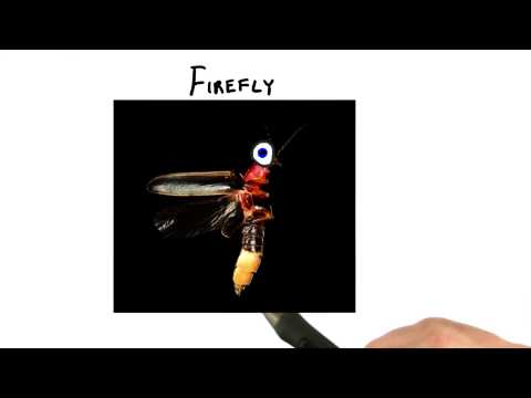 Introduction Interactive 3D Graphics