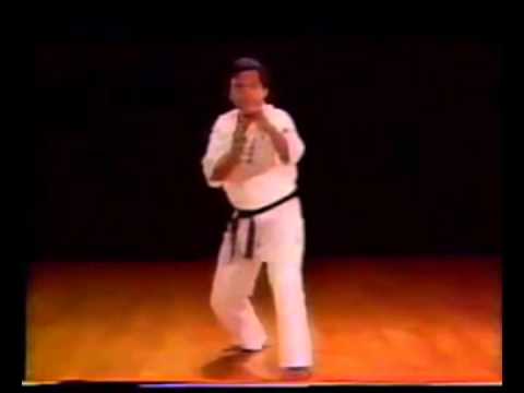 Ashihara Karate: Sabaki Intro