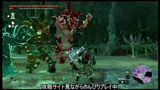 【ガノン討伐済み】攻略サイト見ながらマップ埋めアーカイブ8/18【ゼルダの伝説ティアーズオブザキングダム】
