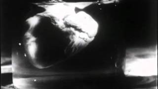 Maniac (1934) Trailer