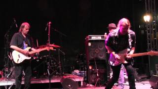 WALTER TROUT w/ JON TROUT - &quot;Going Down&quot; 8/1/15 Riverfront Blues Festival