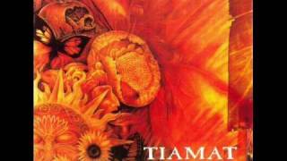 Tiamat - 02 - Whatever That Hurts