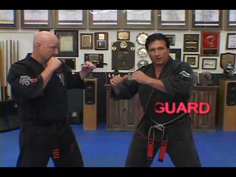 Jeff Speakman - Shielding Hammer