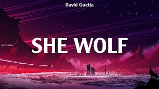 David Guetta ~ She Wolf # lyrics