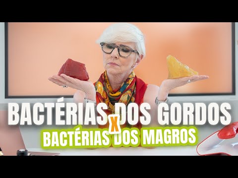 BACTERIA OF FAT PEOPLE X BACTERIA OF THIN PEOPLE