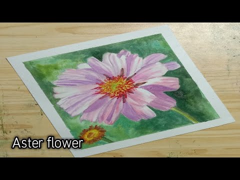 Beautiful Aster flower painting | watercolor tutorial | Afshan Art studio •