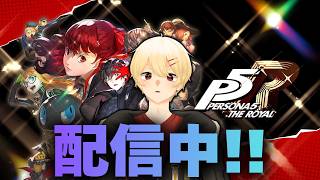 ぺるぺる『ペルソナ5』#Vtuber #ゲーム実況