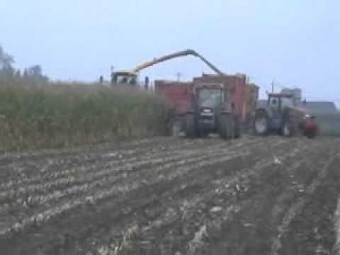 Demarez-Marreel: Mais hakselen.