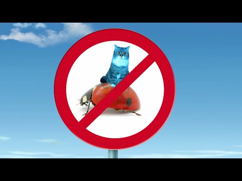 Oggy und die Kakerlaken 🐱🚫 blaue Katze verboten 🐱🚫 Volledige aflevering in HD