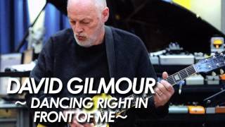 DAVID GILMOUR : PINK FLOYD 『DANCING RIGHT IN FRONT OF ME』 COVER 2017 All Instrument by miu JAPAN