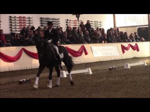 Daley Thompson Hengstschau 6. März 2016