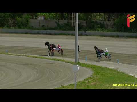 VI Corsa del 24 Aprile 2022 - 4 Anni - Metri 1600 - Gara Centrale