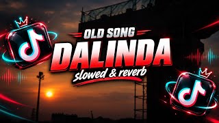 Download lagu DJ DALINDA OLD SONG SLOWED  mp3