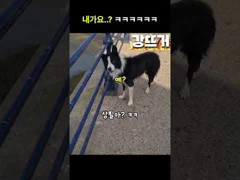 내가요? 저걸요? ㅋㅋ