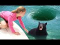 Animals That ASKED People For Help & Kindness! DEFAULT Thumbnail