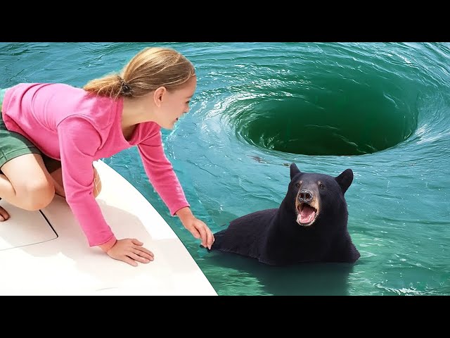 Animals That ASKED People For Help & Kindness! SDDEFAULT Thumbnail