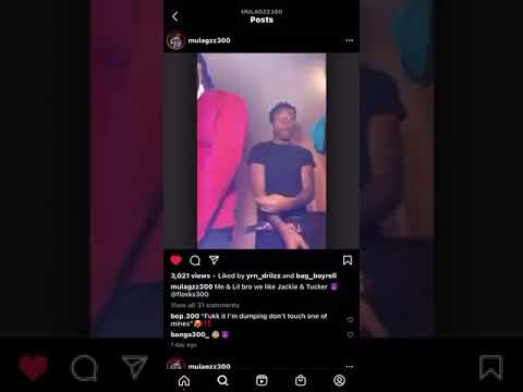 Mula gzz floxk 300 snippet