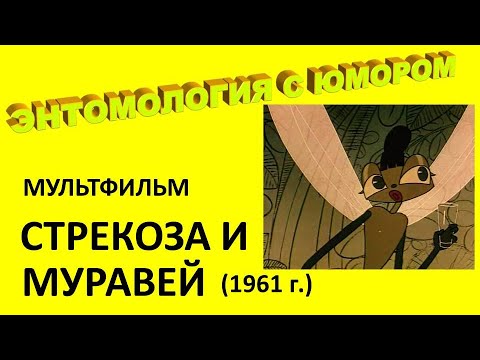 Мультфильм "Стрекоза и муравей" (1961 г.)