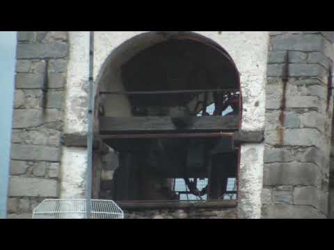 Campane di Drusacco - Vico C.se/Valchiusa (TO) - Gran tribauda e suonata a festa