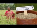 1 கிலோ 450 500 ரூபாய் வரை விறபனையாகும் காட�