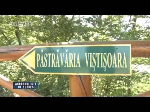 PASTRAVARIA VISTISOARA-Agro-proiecte de succes