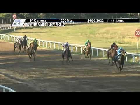 SINT FLORIDA 220224 c09 - 1° DULCINEA J