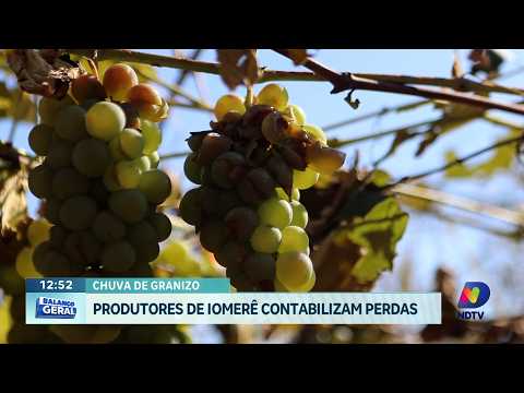 Iomerê registra perdas agrícolas após forte chuva de granizo
