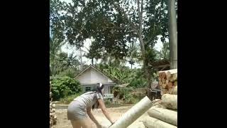 Download lagu Story wa cewek cantik kuat viral mp3 Download lagu Story wa cewek cantik kuat viral mp3