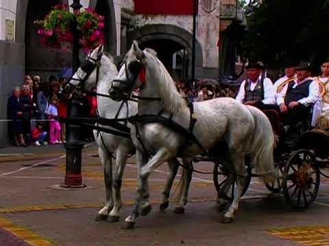 Ante Crnković - Priko šora bećarac se ori - originalan kvalitet