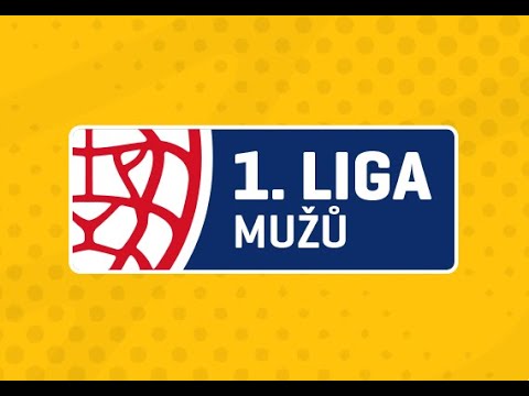 FLORBAL 1. LIGA MUŽŮ 2020/21 ARENAS AND TEAMS