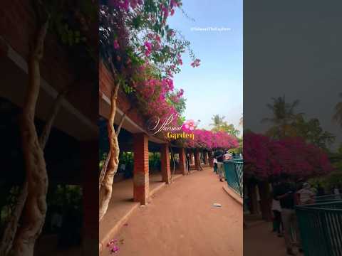 Parimal Garden 🏡🌸 Ahmedabad ✨Beautiful place must visit place in #ahmedabad #parimalgarden #viral ❤