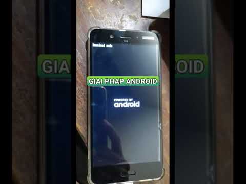 unlock Bootloader root Nokia 8 Nokia 8 Sirocco Android 9 Pie Android 10 +84907705936