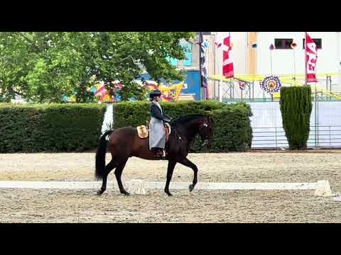 Lara e Endiabrado- Prova de ensino 71,5%