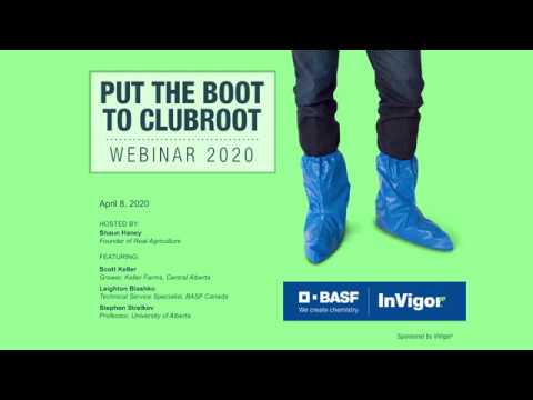 Clubroot Webinar | BASF