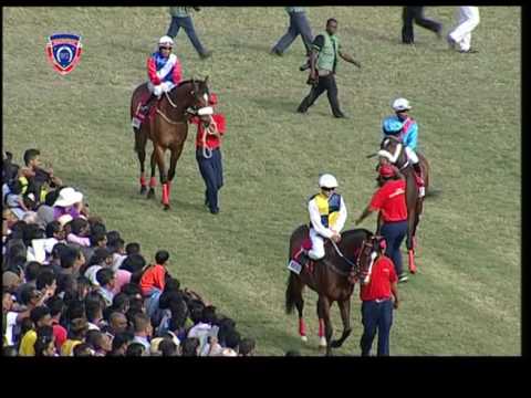 PARADE DES CHEVAUX DE THE AIR MAURITIUS MAIDEN CUP 2016