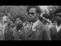 Who Were The Black Panthers? It's Complicated - Newsy